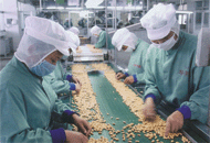 ��ɫʳƷ��ҵ��Ⱥ