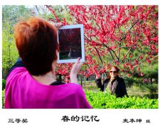 ���ļ���